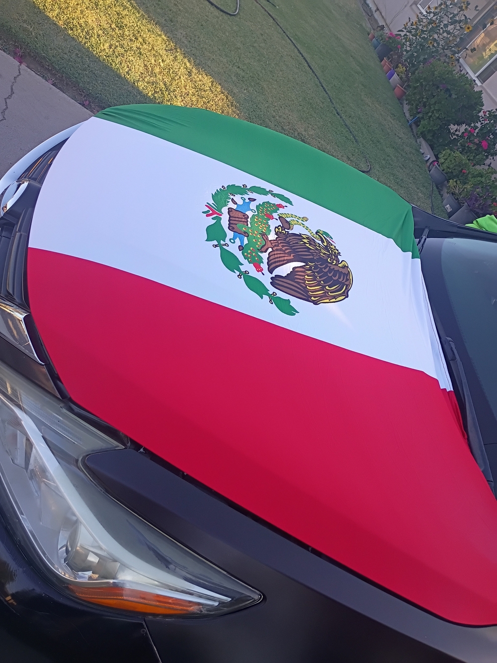 Universal Mexican Flag Hood Cover - Green White Red